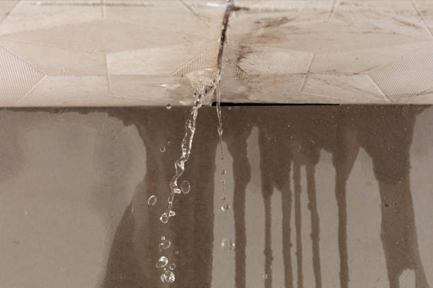 Professional Commercial Water Damage Restoration technician working in Three Lakes, WI